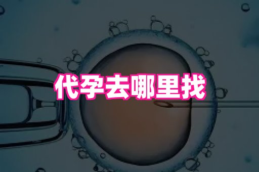 杭州助孕网 1