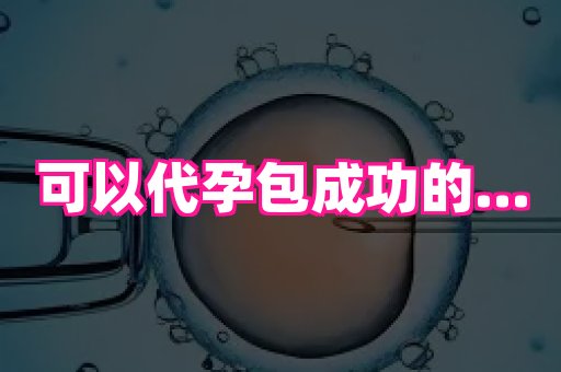 杭州助孕网 1