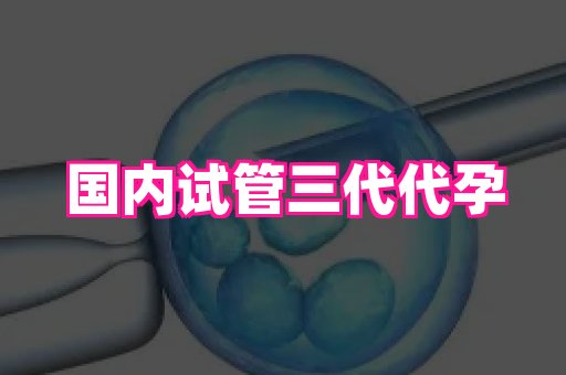 杭州助孕网 3