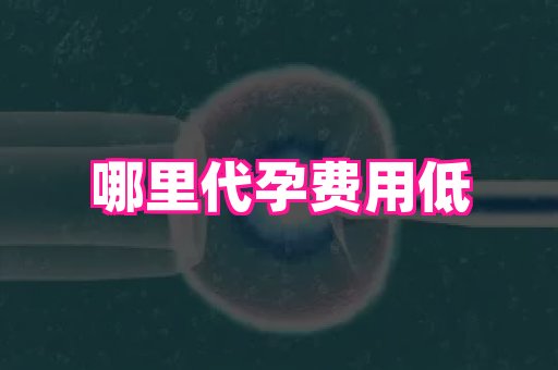 杭州助孕网 4