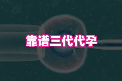 杭州助孕网 4